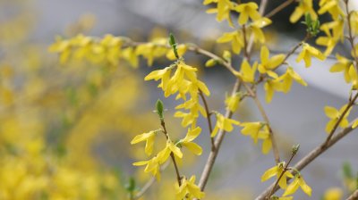 세모이 콘텐츠 아이디어 30개