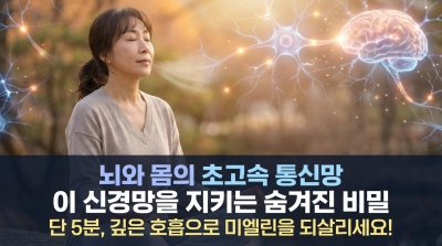 신경 건강의 열쇠: 깊은 호흡으로 미엘린을 지키는 법