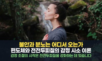 내 감정이지만 내 마음대로 안 될 때, 뇌 속 '감정 시소'를 점검해야 하는 이유