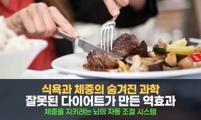 식욕과 체중의 숨겨진 과학, 뇌는 왜 무의식적으로 지방을 저장할까?
