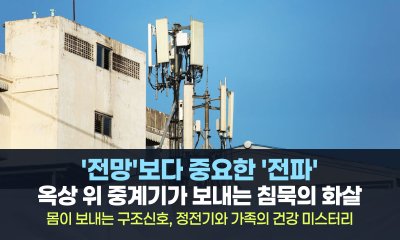창문 밖 풍경에 숨겨진 진실, 당신의 가족은 정말 안전합니까?